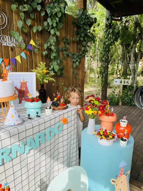 Decoração de festa Animais — Festaria
