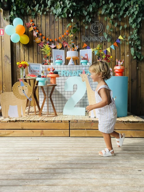 Decoração de festa Animais — Festaria
