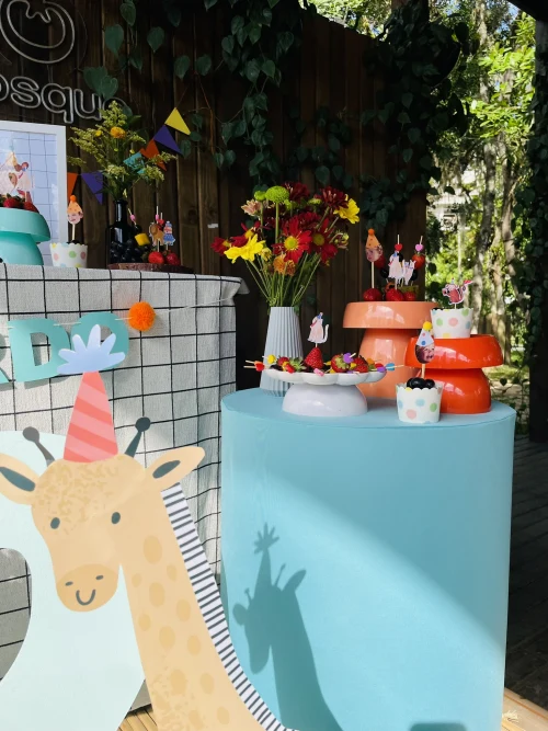 Decoração de festa Animais — Festaria