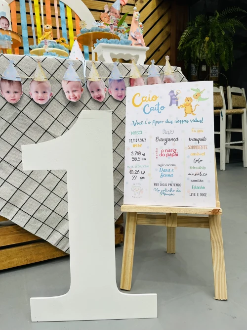 Decoração de festa Animais — Festaria