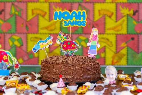 Decoração de festa Boi de Mamão — Festaria
