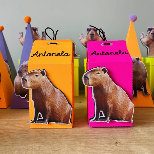 Decoração de festa Capivara — Festaria