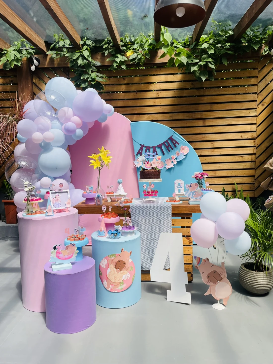 Decoração de festa Capivara — Festaria