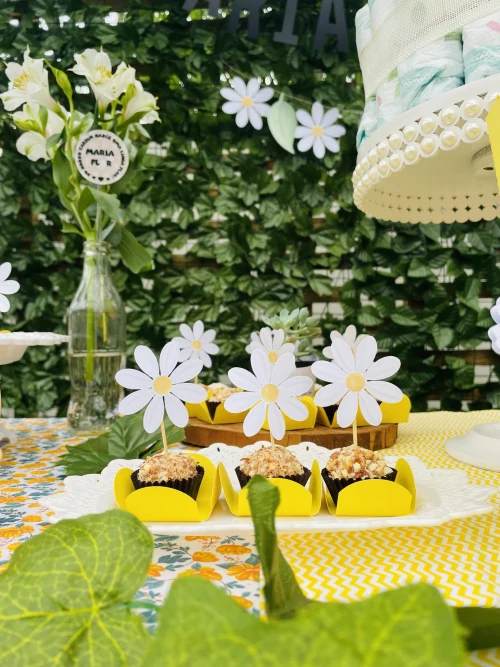 Decoração de festa Chá de Bebê — Festaria