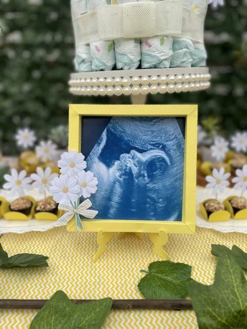 Decoração de festa Chá de Bebê — Festaria