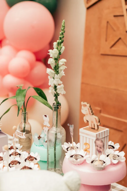 Decoração de festa Fazendinha — Festaria