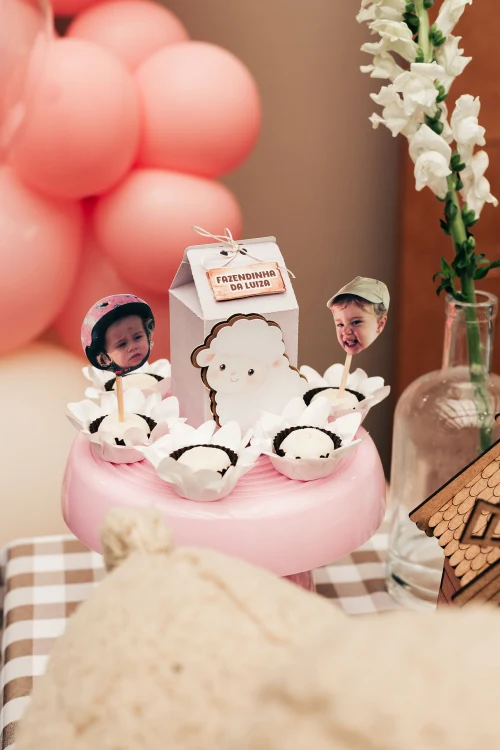 Decoração de festa Fazendinha — Festaria