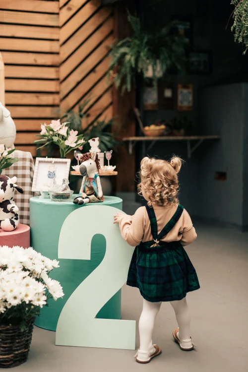Decoração de festa Fazendinha — Festaria