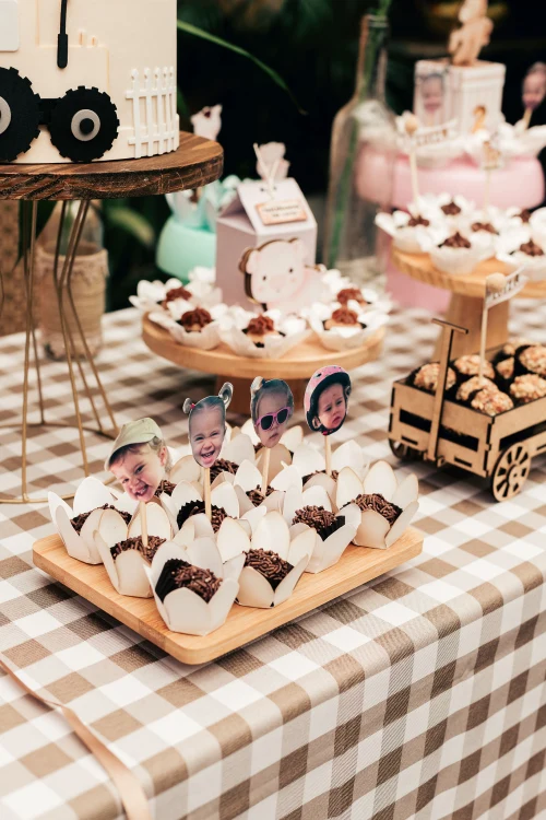Decoração de festa Fazendinha — Festaria