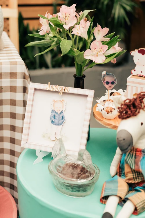 Decoração de festa Fazendinha — Festaria