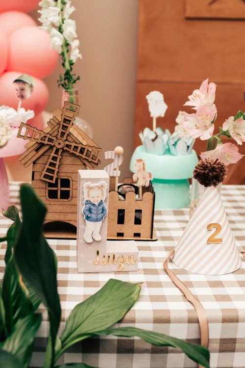Decoração de festa Fazendinha — Festaria