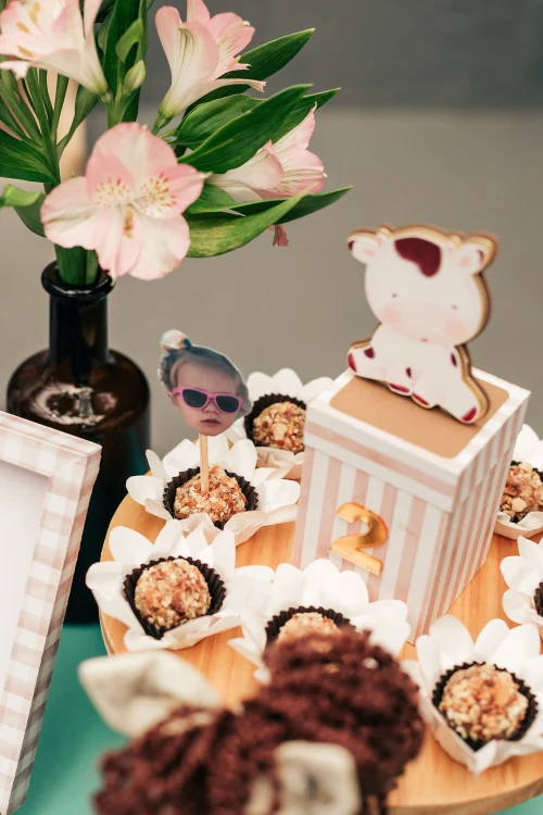 Decoração de festa Fazendinha — Festaria