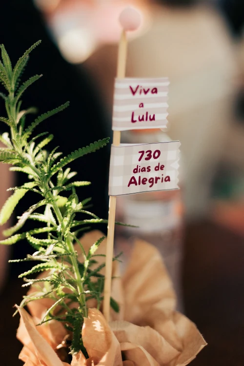 Decoração de festa Fazendinha — Festaria