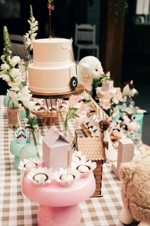 Decoração de festa Fazendinha — Festaria