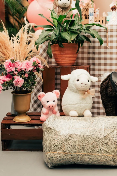 Decoração de festa Fazendinha — Festaria