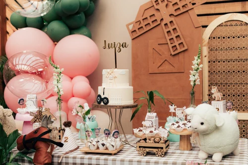 Decoração de festa Fazendinha — Festaria
