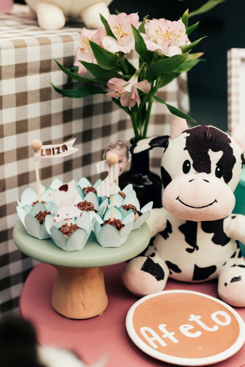 Decoração de festa Fazendinha — Festaria