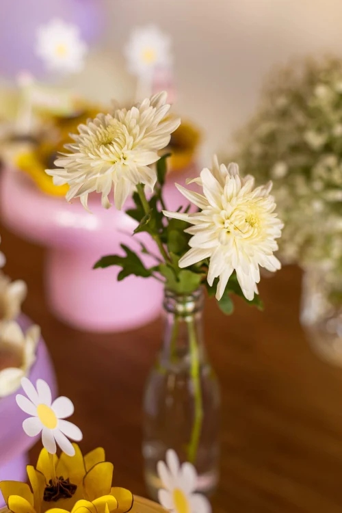 Decoração de festa Flores e Jardim — Festaria