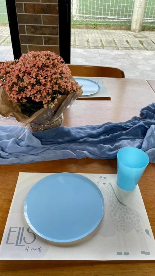 Decoração de festa Girafa — Festaria