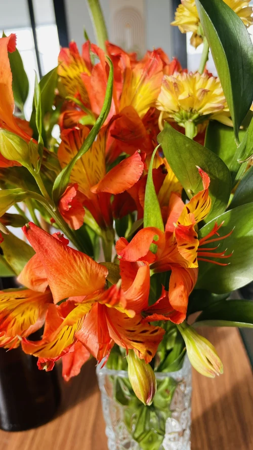 Decoração de festa Natureza — Festaria