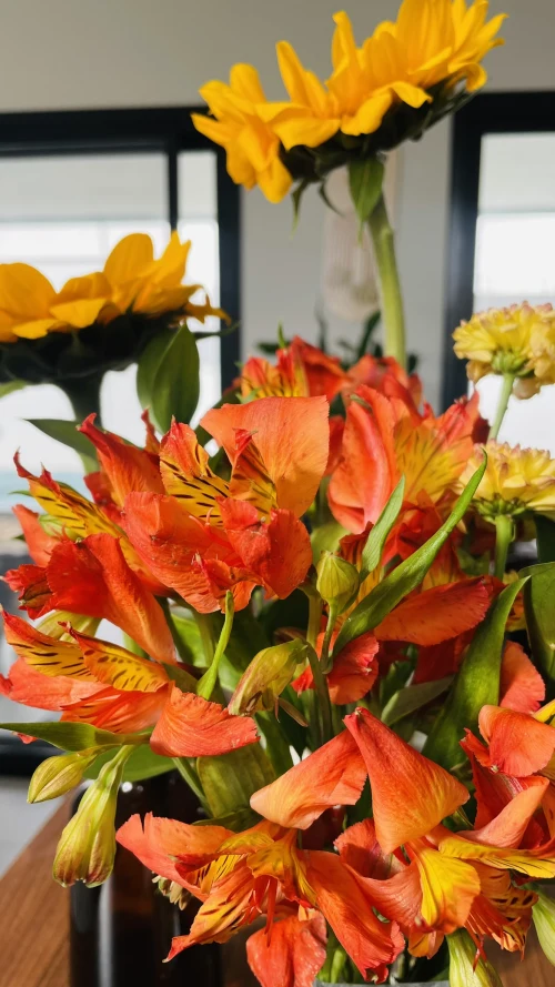 Decoração de festa Natureza — Festaria