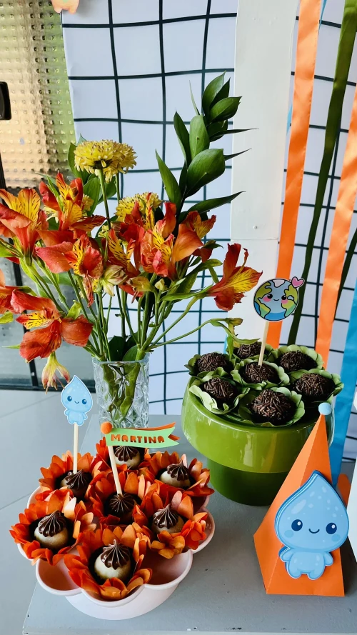 Decoração de festa Natureza — Festaria