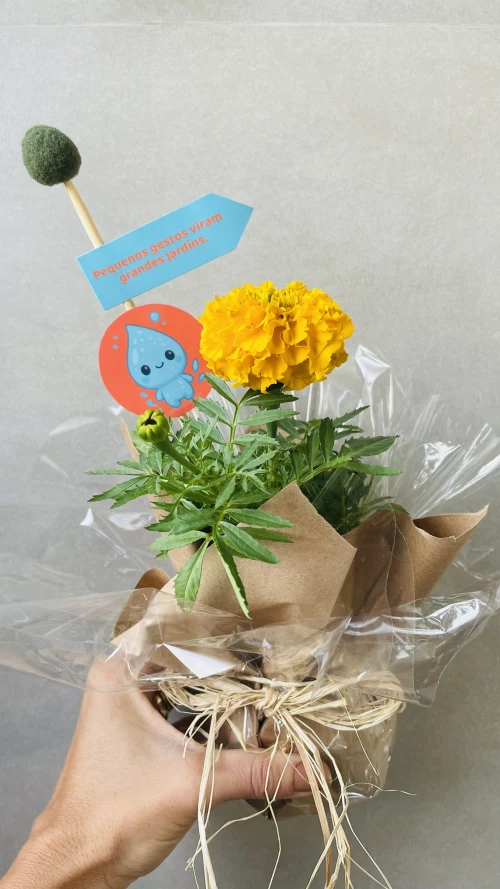 Decoração de festa Natureza — Festaria