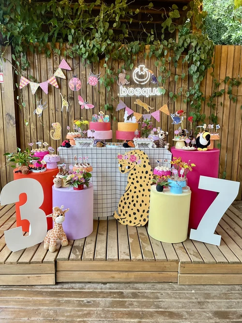 Decoração de festa Onça — Festaria