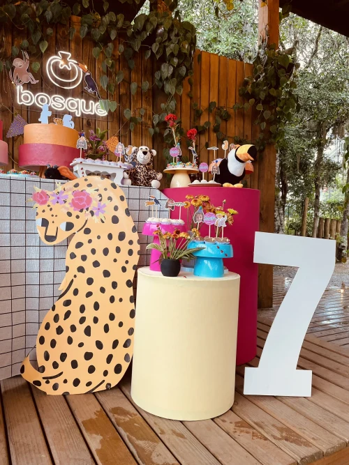 Decoração de festa Onça — Festaria