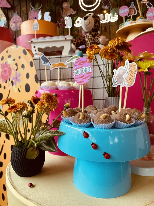 Decoração de festa Onça — Festaria