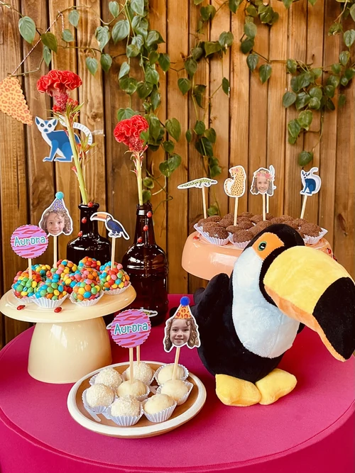 Decoração de festa Onça — Festaria