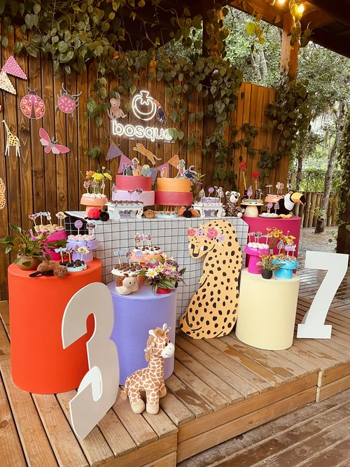 Decoração de festa Onça — Festaria