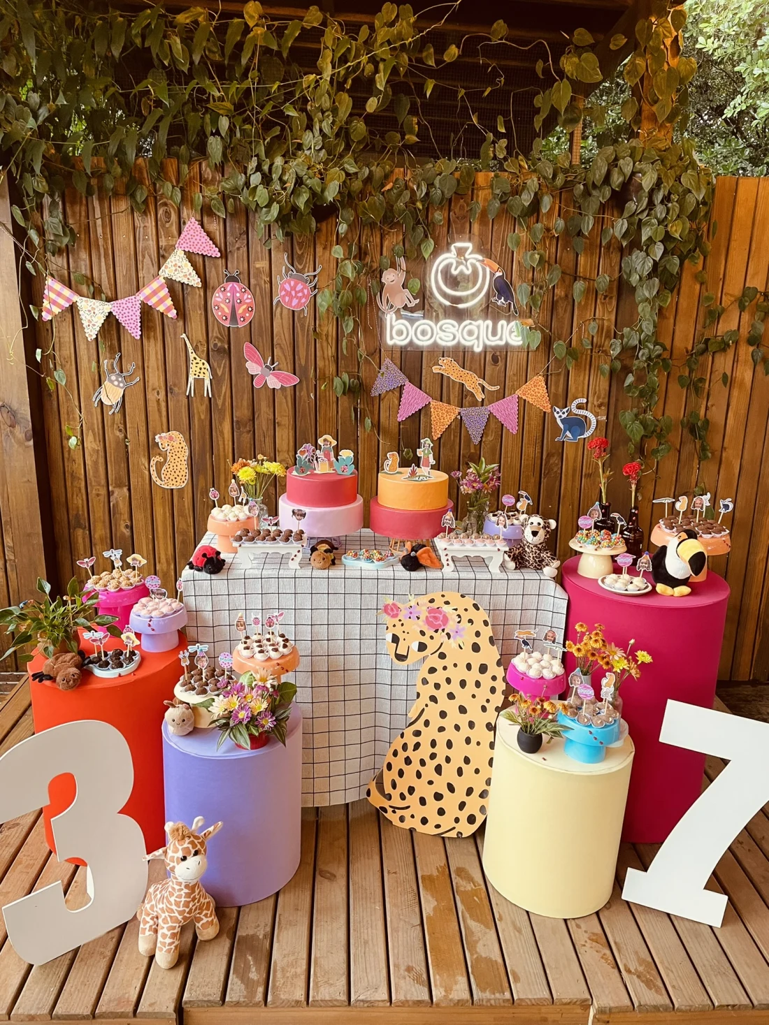 Decoração de festa Onça — Festaria