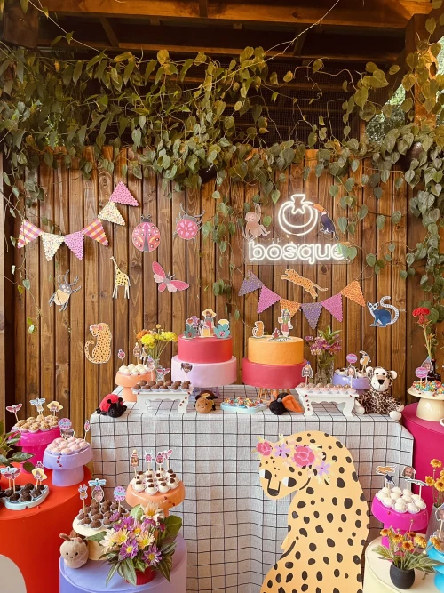 Decoração de festa Onça — Festaria