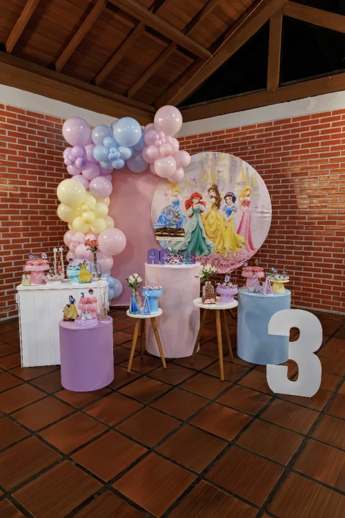 Decoração de festa Princesas — Festaria
