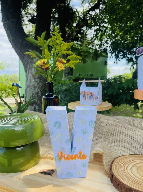 Decoração de festa Selva / Natureza — Festaria