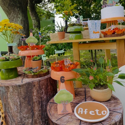 Decoração de festa Selva / Natureza — Festaria