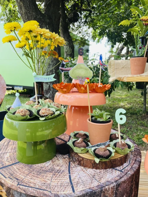 Decoração de festa Selva / Natureza — Festaria