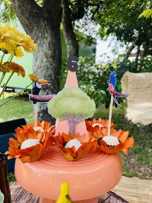 Decoração de festa Selva / Natureza — Festaria