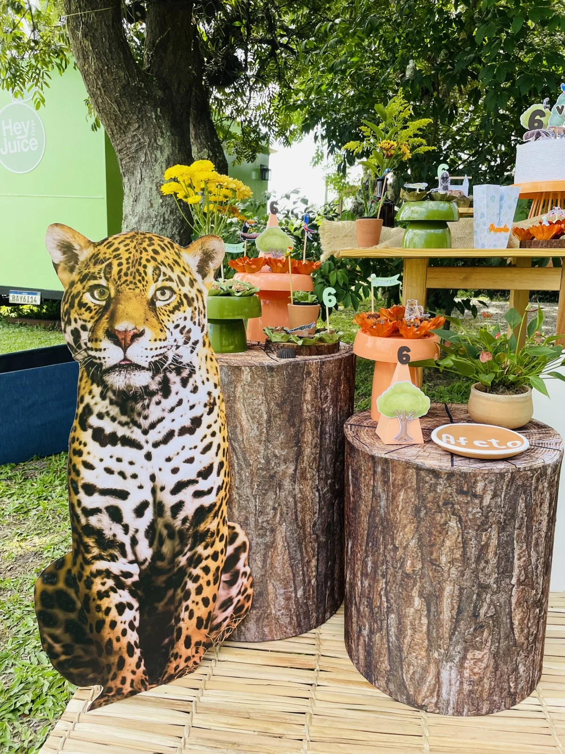 Decoração de festa Selva / Natureza — Festaria