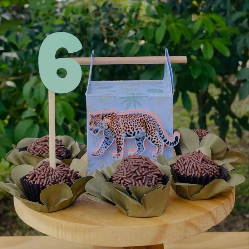 Decoração de festa Selva / Natureza — Festaria