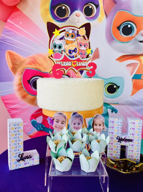 Decoração de festa Super Gatinhos — Festaria