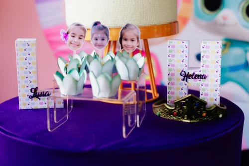 Decoração de festa Super Gatinhos — Festaria