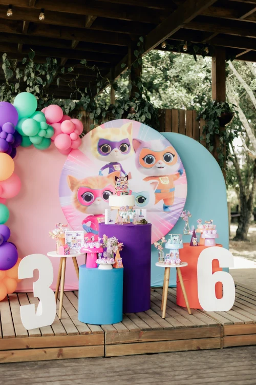 Decoração de festa Super Gatinhos — Festaria